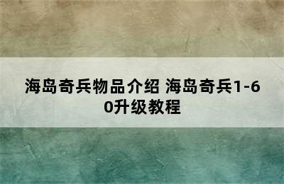 海岛奇兵物品介绍 海岛奇兵1-60升级教程